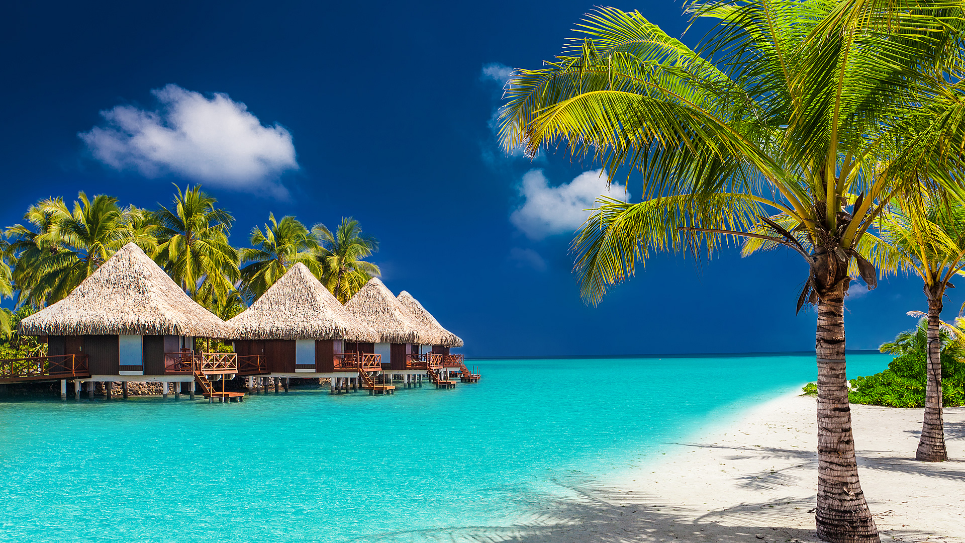 h-startseite-3.6072e7d0db7c3